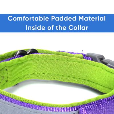 Show full view: Pawtitas Soft Adjustable Reflective Padded Dog Collar, Purple, Large/X-Large: 19 to 25-in neck, 1-in wide slide 5 of 12