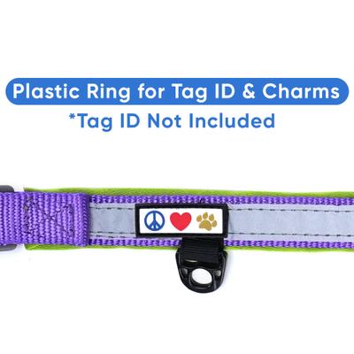 Show full view: Pawtitas Soft Adjustable Reflective Padded Dog Collar, Purple, Large/X-Large: 19 to 25-in neck, 1-in wide slide 7 of 12