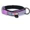 Show in main carousel: Pawtitas Soft Adjustable Reflective Padded Dog Collar, Purple Orchid, Small: 11 to 15-in neck, 5/8-in wide slide 1 of 12