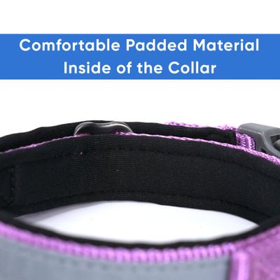 Show full view: Pawtitas Soft Adjustable Reflective Padded Dog Collar, Purple Orchid, Small: 11 to 15-in neck, 5/8-in wide slide 5 of 12