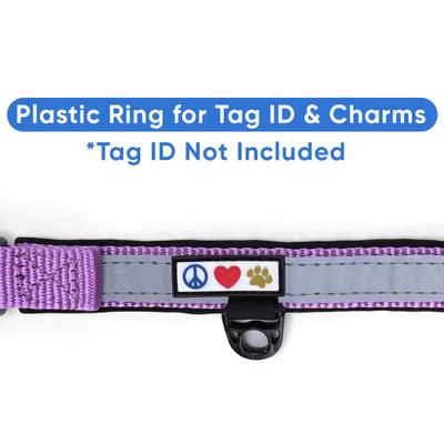 Show full view: Pawtitas Soft Adjustable Reflective Padded Dog Collar, Purple Orchid, Small: 11 to 15-in neck, 5/8-in wide slide 7 of 12