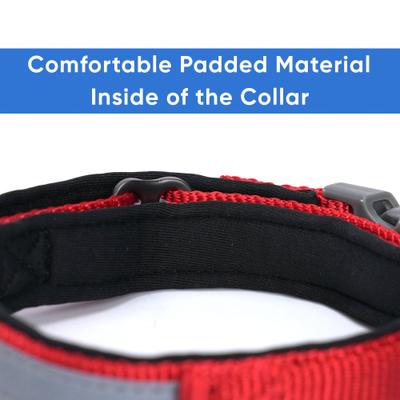 Show full view: Pawtitas Soft Adjustable Reflective Padded Dog Collar, Red, Large/X-Large: 19 to 25-in neck, 1-in wide slide 5 of 12