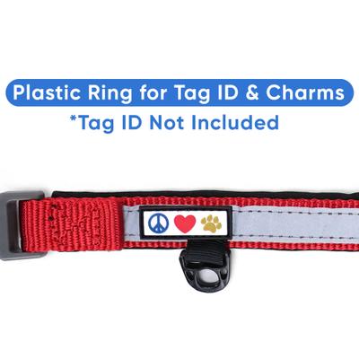 Show full view: Pawtitas Soft Adjustable Reflective Padded Dog Collar, Red, Large/X-Large: 19 to 25-in neck, 1-in wide slide 7 of 12