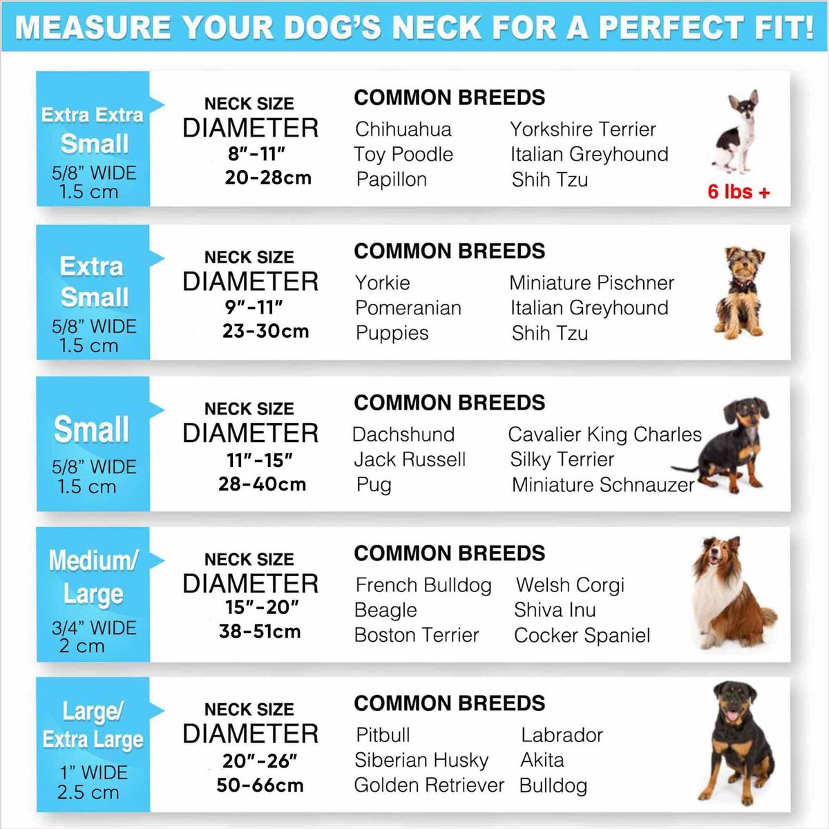 PAWTITAS Soft Adjustable Reflective Padded Dog Collar, Red, Medium ...