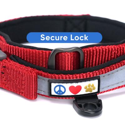 Show full view: Pawtitas Soft Adjustable Reflective Padded Dog Collar, Red, XX-Small: 7 to 11-in neck, 5/8-in wide slide 6 of 12
