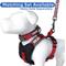 Show in main carousel: Pawtitas Soft Adjustable Reflective Padded Dog Collar, Red, XX-Small: 7 to 11-in neck, 5/8-in wide slide 9 of 12