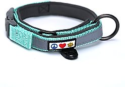 Pawtitas Soft Adjustable Reflective Padded Dog Collar, Teal, Medium/Large: 14 to 20-in neck, 3/4-in wide