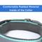 Show in main carousel: Pawtitas Soft Adjustable Reflective Padded Dog Collar, Teal, Medium/Large: 14 to 20-in neck, 3/4-in wide slide 6 of 13