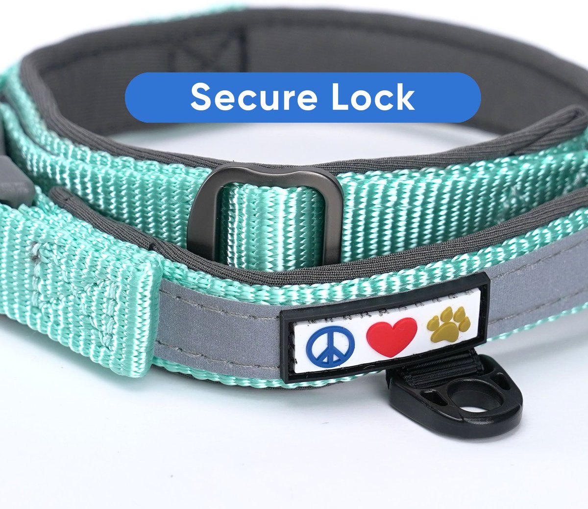 Pawtitas Reflective Padded Dog Collar