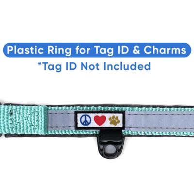 Show full view: Pawtitas Soft Adjustable Reflective Padded Dog Collar, Teal, Medium/Large: 14 to 20-in neck, 3/4-in wide slide 8 of 13