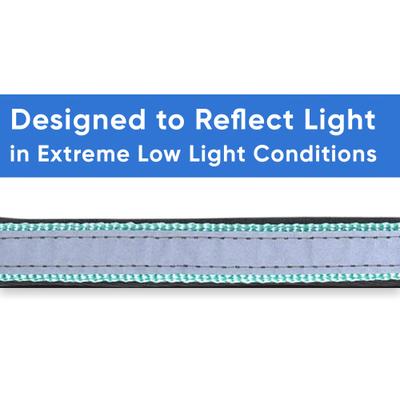 Show full view: Pawtitas Soft Adjustable Reflective Padded Dog Collar, Teal, Small: 11 to 15-in neck, 5/8-in wide slide 4 of 12