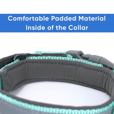 Show full view: Pawtitas Soft Adjustable Reflective Padded Dog Collar, Teal, Small: 11 to 15-in neck, 5/8-in wide slide 5 of 12