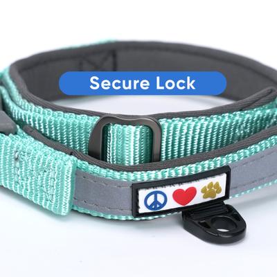 Show full view: Pawtitas Soft Adjustable Reflective Padded Dog Collar, Teal, Small: 11 to 15-in neck, 5/8-in wide slide 6 of 12