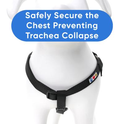 Show full view: Pawtitas Solid Dog & Cat Harness, Black, X-Small slide 4 of 9