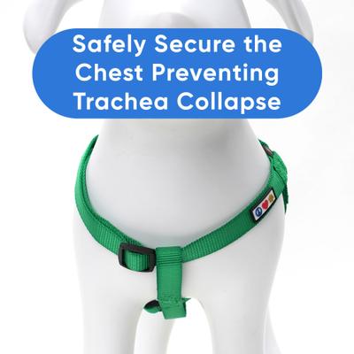 Show full view: Pawtitas Solid Dog & Cat Harness, Green Dark, Small slide 4 of 9