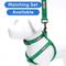 Show in main carousel: Pawtitas Solid Dog & Cat Harness, Green Dark, Small slide 6 of 9
