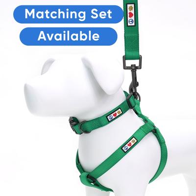 Show full view: Pawtitas Solid Dog & Cat Harness, Green Dark, Small slide 6 of 9