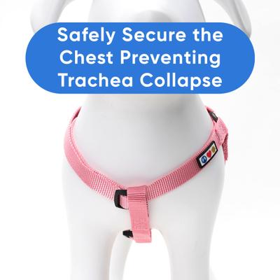 Show full view: Pawtitas Solid Dog & Cat Harness, Millenial Pink, X-Small slide 5 of 10