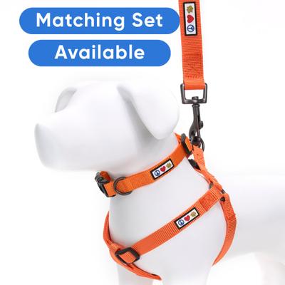 Show full view: Pawtitas Solid Dog & Cat Harness, Orange, Small slide 7 of 10