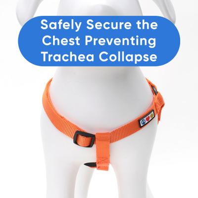 Show full view: Pawtitas Solid Dog & Cat Harness, Orange, Small slide 5 of 10