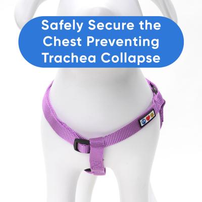 Show full view: Pawtitas Solid Dog & Cat Harness, Purple Orchid, X-Small slide 4 of 9