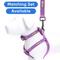 Show in main carousel: Pawtitas Solid Dog & Cat Harness, Purple Orchid, X-Small slide 6 of 9