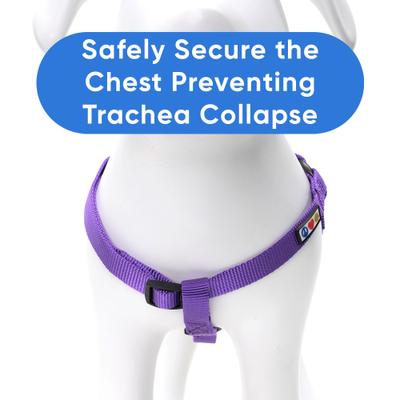 Show full view: Pawtitas Solid Dog & Cat Harness, Purple, X-Small slide 5 of 10