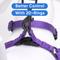 Show in main carousel: Pawtitas Solid Dog & Cat Harness, Purple, X-Small slide 6 of 10