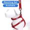 Show in main carousel: Pawtitas Solid Dog & Cat Harness, Red, Small slide 6 of 9