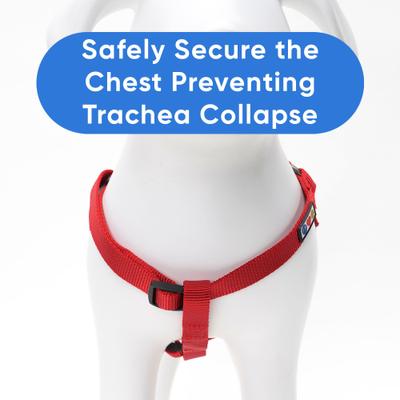 Show full view: Pawtitas Solid Dog & Cat Harness, Red, Small slide 4 of 9