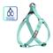 Show in main carousel: Pawtitas Solid Dog & Cat Harness, Teal, Large slide 1 of 10