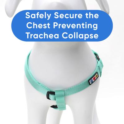 Show full view: Pawtitas Solid Dog & Cat Harness, Teal, Large slide 5 of 10