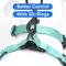Show in main carousel: Pawtitas Solid Dog & Cat Harness, Teal, Large slide 6 of 10