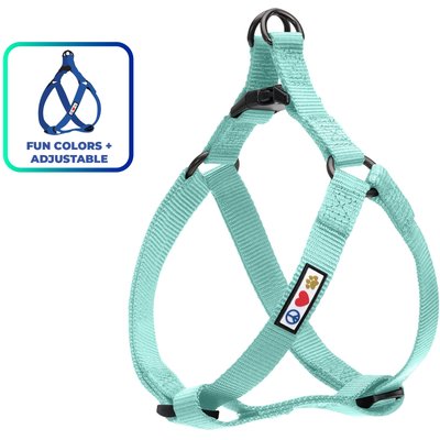 Pawtitas Solid Dog & Cat Harness, Teal, X-Small: 10 to 15-in chest