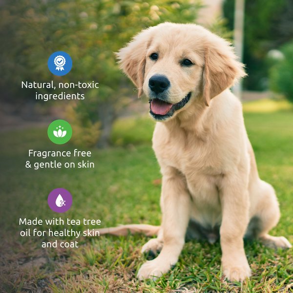 Show full view: Pawz Paw Dog & Cat Cleaning Foam, 5-oz slide 4 of 7
