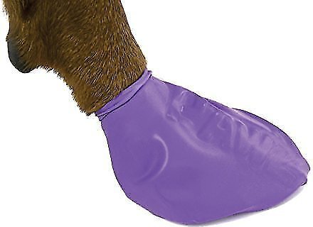 Show full view: Pawz Waterproof Dog Boots, 12 count, Purple, Large slide 4 of 12