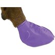 Show in main carousel: Pawz Waterproof Dog Boots, 12 count, Purple, Large slide 4 of 12