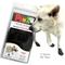 Show in main carousel: Pawz Waterproof Dog Boots, Black, Medium, 12 count slide 1 of 9