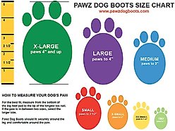 Pawz Waterproof Dog Boots, Black, Medium, 12 count slide 2 of 6