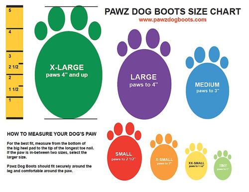 Show full view: Pawz Waterproof Dog Boots, Black, X-Small, 12 count slide 2 of 10