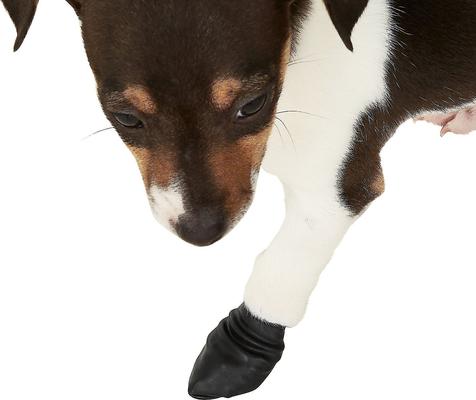 Show full view: Pawz Waterproof Dog Boots, Black, X-Small, 12 count slide 6 of 10