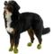 Show in main carousel: Pawz Waterproof Rubber Dog Boots, Olive Green, 12 count, X-Large slide 6 of 7