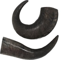 peaksNpaws All natural premium Large Dog Water Buffalo Horns Treat, 1 count