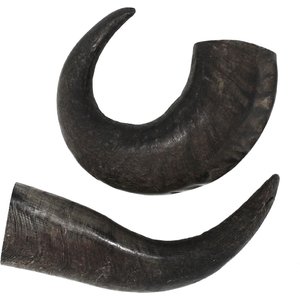 peaksNpaws All natural premium Large Dog Water Buffalo Horns Treat, 1 count