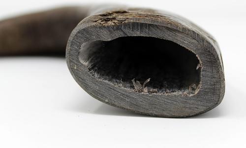 Show full view: peaksNpaws All natural premium Large Dog Water Buffalo Horns Treat, 1 count slide 3 of 7