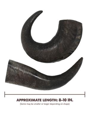 Show full view: peaksNpaws All natural premium Large Dog Water Buffalo Horns Treat, 1 count slide 4 of 7