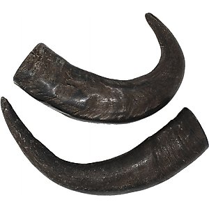 peaksNpaws All Natural Premium Water Buffalo Horn Dog Treat, Medium, 1 count