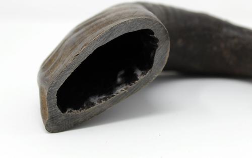 Show full view: peaksNpaws All Natural Premium Water Buffalo Horn Dog Treat, Medium, 1 count slide 4 of 8