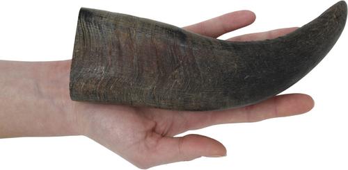 Show full view: peaksNpaws All Natural Premium Water Buffalo Horn Dog Treat, Medium, 1 count slide 6 of 8