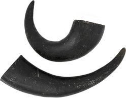 peaksNpaws All natural premium Small Dog Water Buffalo Horns Treat